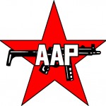 AAP-Logo